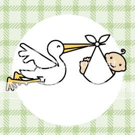 ist2_967468_baby_stork1-1.jpg picture by hoppingcat