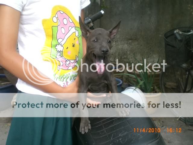 CIMG2757.jpg CIMG2757.jpg
