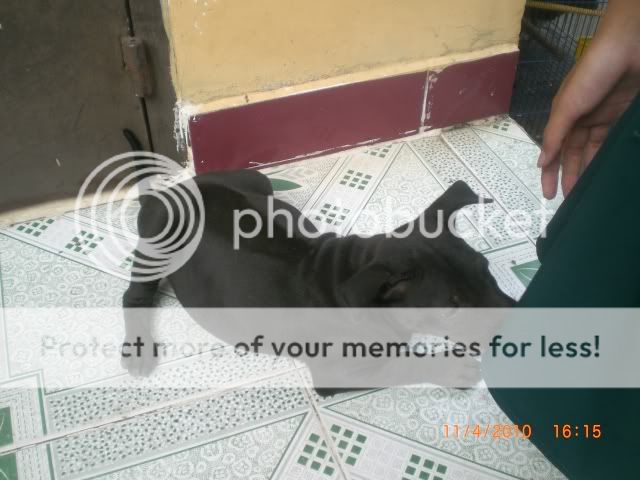 CIMG2761.jpg CIMG2761.jpg