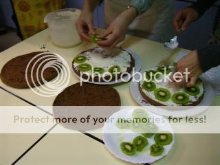 Chocolate sponge cake with cream and kiwis.