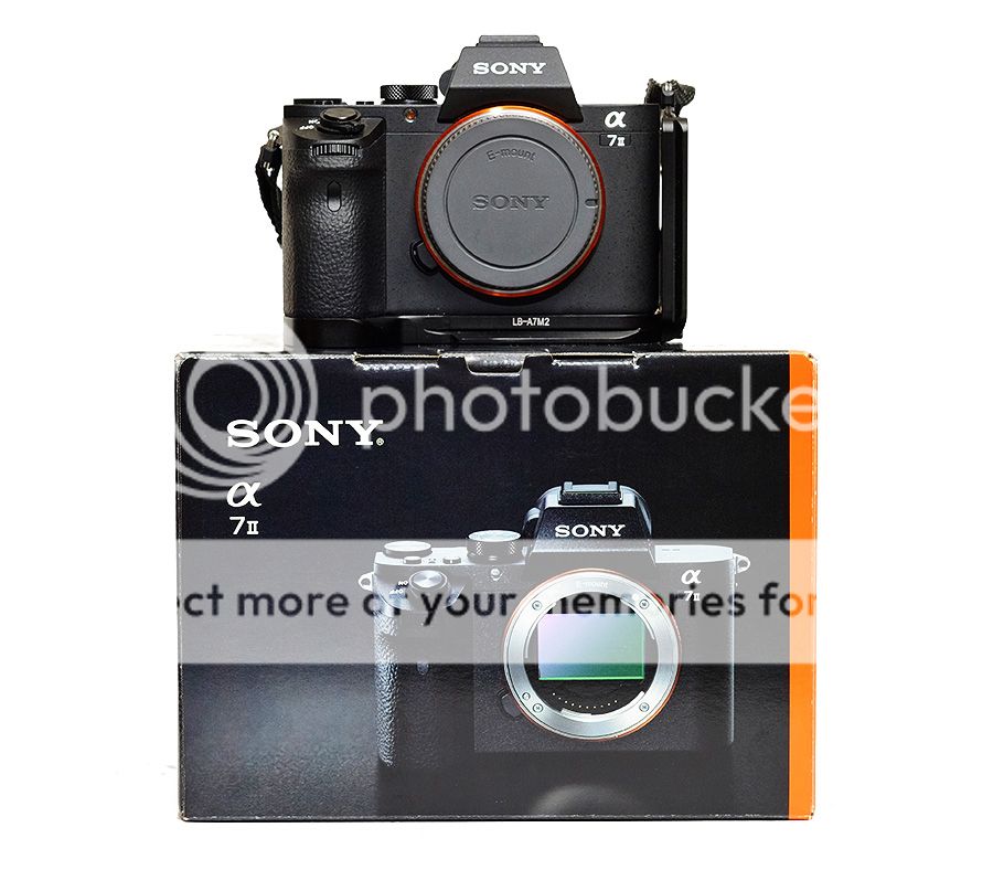 IMAGE: http://i452.photobucket.com/albums/qq246/pupnik/Sony_A7II_on_Box.jpg