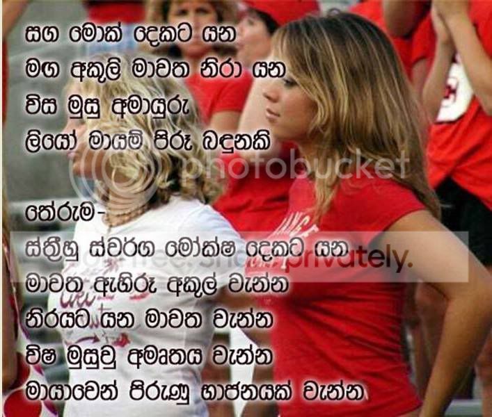 06.jpg