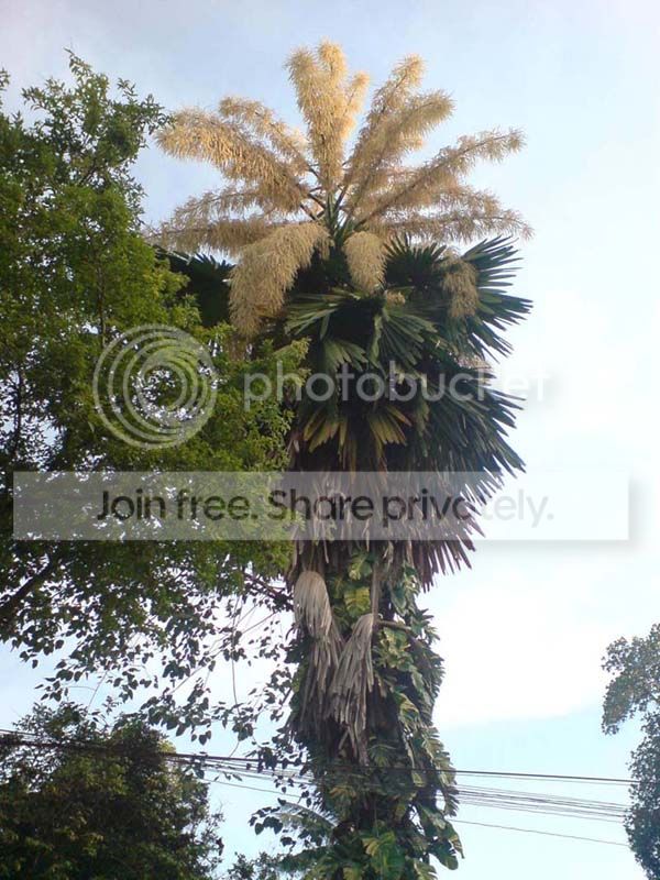 DSC00159.jpg