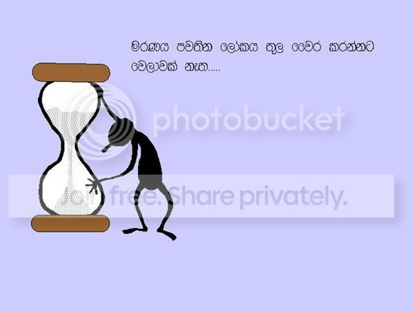 a.jpg
