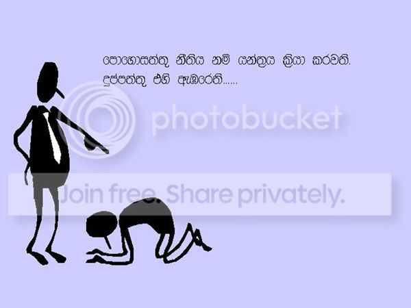 b.jpg