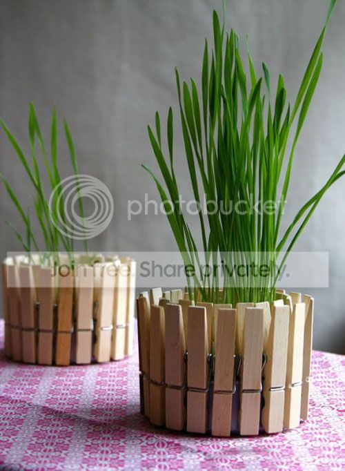 creative_diy_project_ideas_66-1.jpg